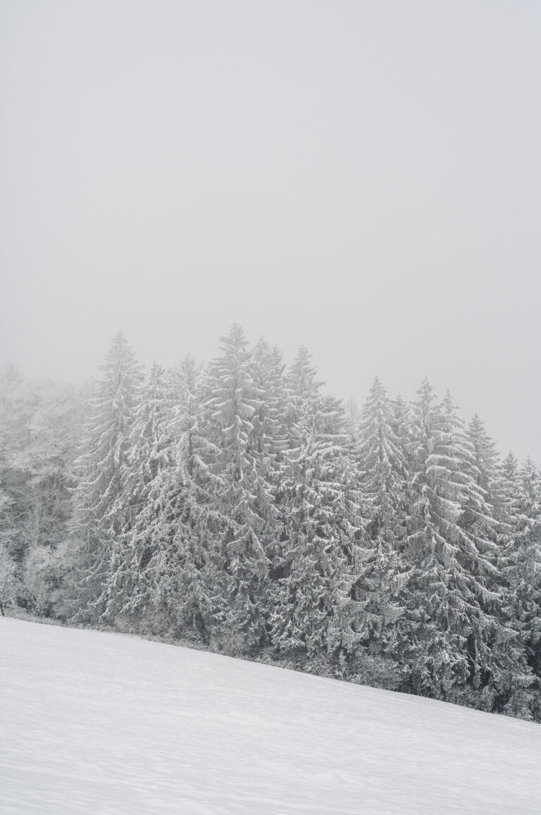 Martin Mayr zusammen mit seinem Volvo Polar in verschneiter Landschaft