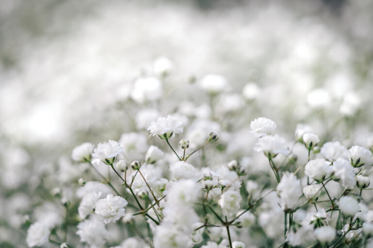Kampagne für Next125 von Schüller Küchen im alten Schlachthof Pforzheim