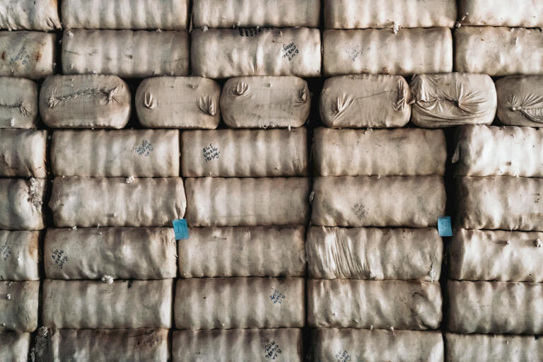 Baumwollbekleidungsproduktion in Uganda für Umoja TSG Hoffenheim